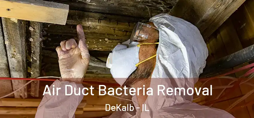 Air Duct Bacteria Removal DeKalb - IL