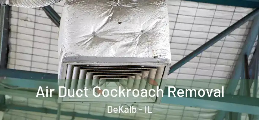  Air Duct Cockroach Removal DeKalb - IL