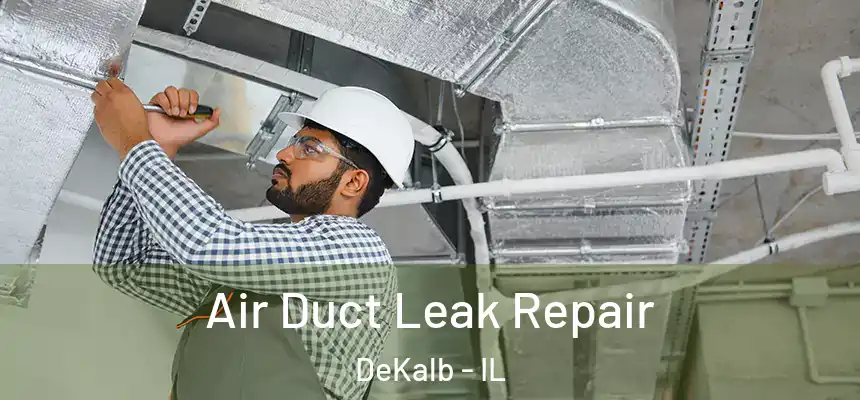  Air Duct Leak Repair DeKalb - IL
