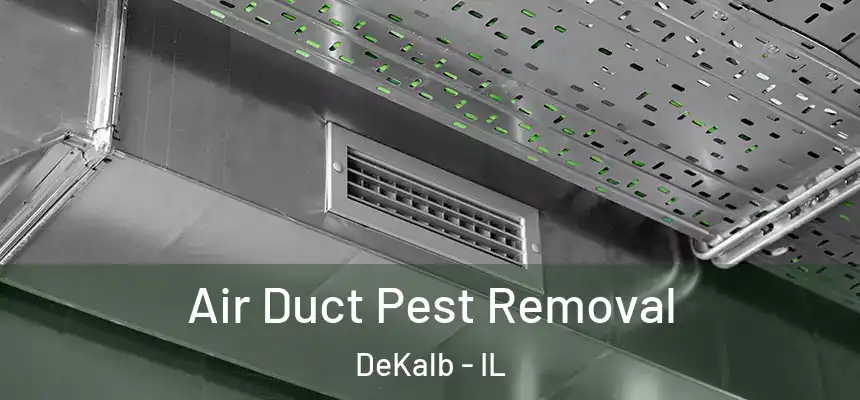  Air Duct Pest Removal DeKalb - IL