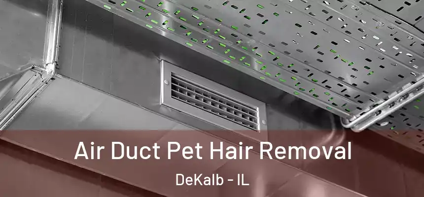  Air Duct Pet Hair Removal DeKalb - IL