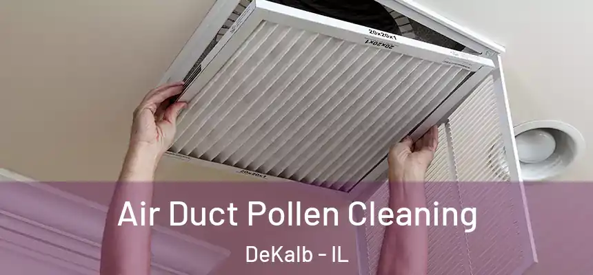 Air Duct Pollen Cleaning DeKalb - IL