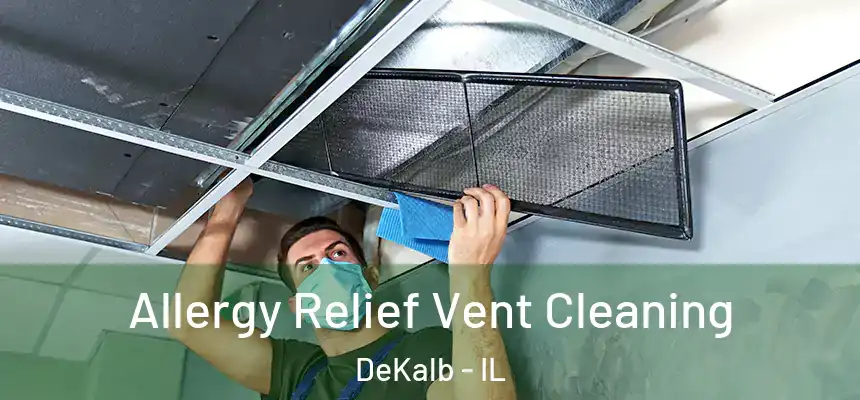  Allergy Relief Vent Cleaning DeKalb - IL