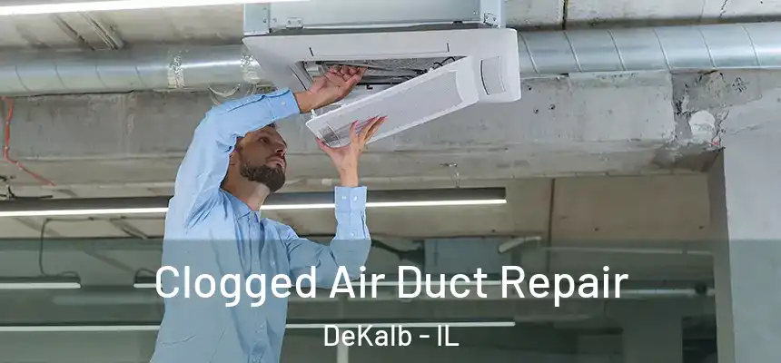  Clogged Air Duct Repair DeKalb - IL