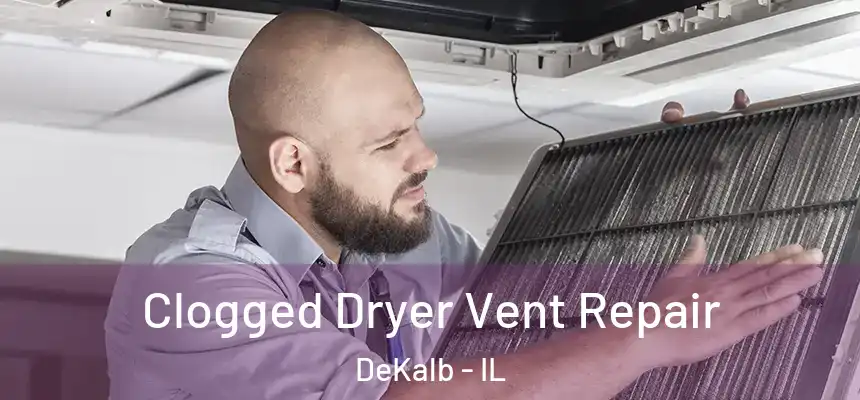 Clogged Dryer Vent Repair DeKalb - IL