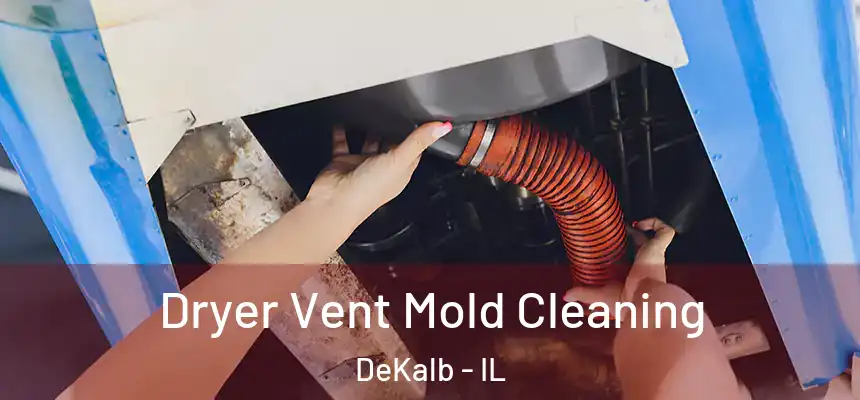 Dryer Vent Mold Cleaning DeKalb - IL