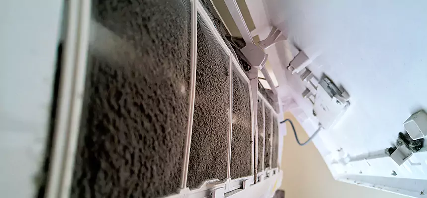 Preventive Air Duct Bacteria Removal in DeKalb