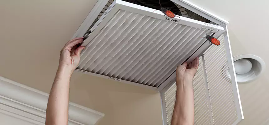 Preventive Cockroach-Proofing for Ducts in DeKalb