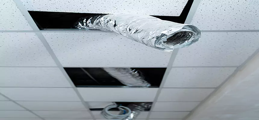 Our Air Duct Pet Hair Removal Services in DeKalb, IL