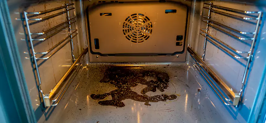 Our Dryer Vent Mold Cleaning Services in DeKalb, IL