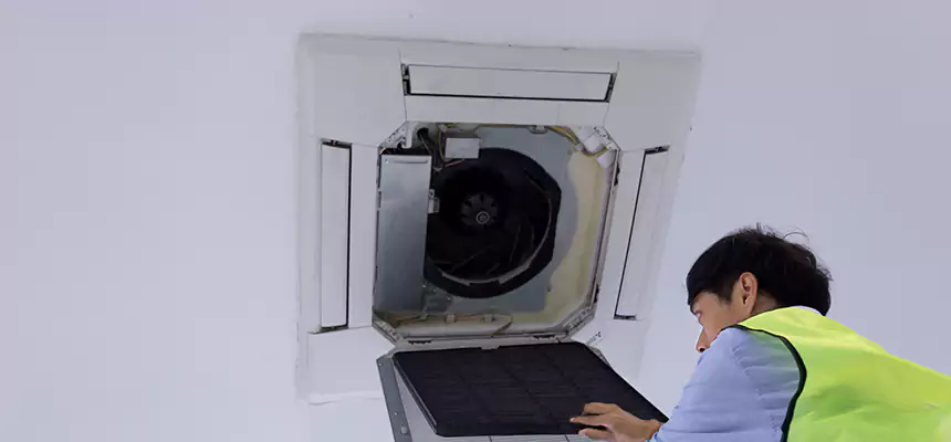 Our Dryer Vent Sanitization Service Services in DeKalb, IL