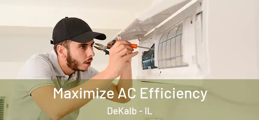 Maximize AC Efficiency DeKalb - IL