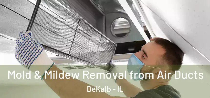  Mold & Mildew Removal from Air Ducts DeKalb - IL
