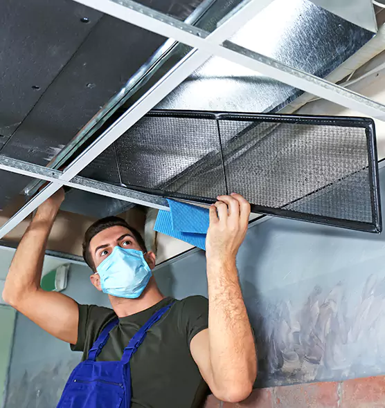 About Air Duct Bacteria Removal in DeKalb