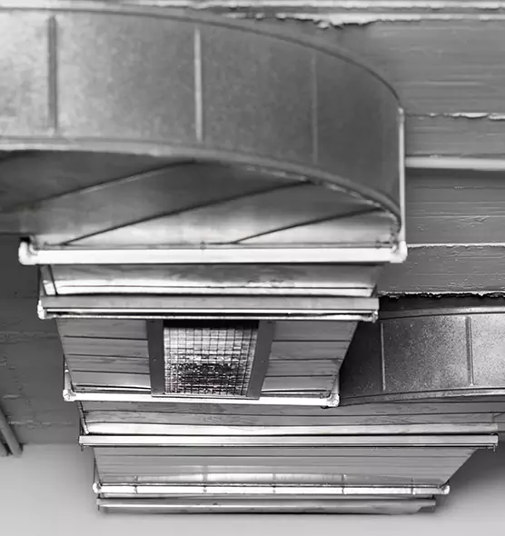 Professional Air Duct Pet Hair Removal in DeKalb, IL