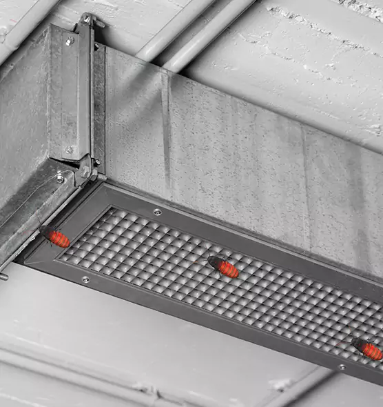 Affordable Insect Removal from Air Ducts in DeKalb, IL