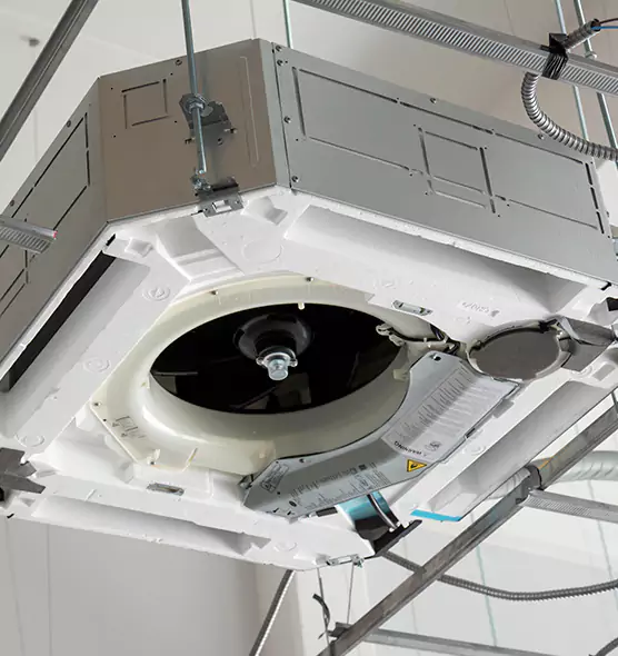 Professional Roof Vent Lint Removal DeKalb, IL