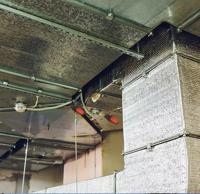 Why Homeowners & Businesses Trust Us DeKalb, IL?