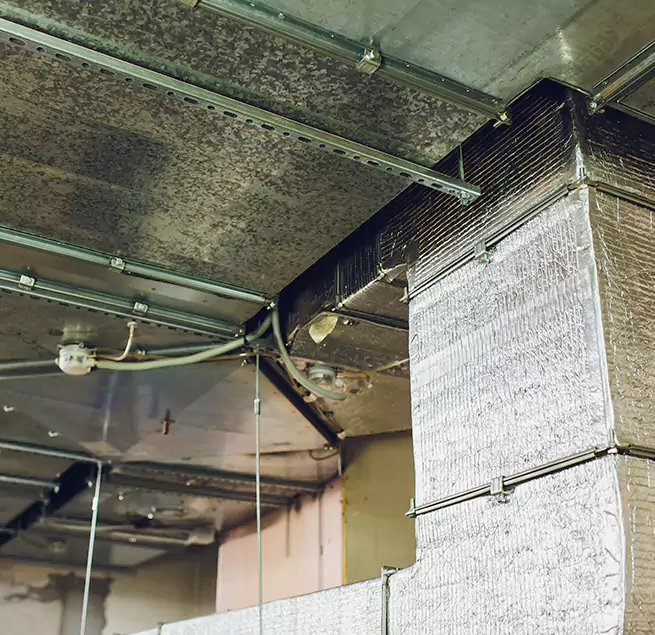 Why Homeowners & Businesses Trust Us in DeKalb, IL?