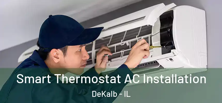 Smart Thermostat AC Installation DeKalb - IL